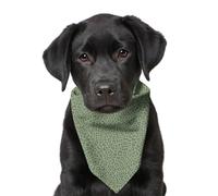 Cheetah Print Pet Bandana - Large