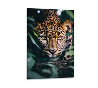 Cheetah Wall Art Poster Jungle Wildlife Animal Print for Home Office Or Living Room Motivational Big Cat Decor for Safari Theme Or Nature Wall Design Gift 16x24inch Frame