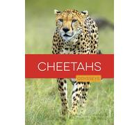 Cheetahs (Odysseys in the Wild)