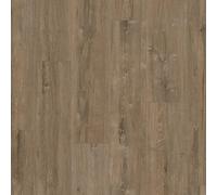 Cheex Avenue Oak Brown Wood Effect Click Laminate Flooring - Plank (8mm),for All Rooms Except Bath & Wet Areas - Covers 2.17Sqm