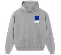 Chelsea Classic Football Shirt Colours Frame Men's Hoodie - Gray / M