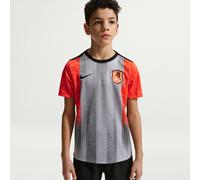 Chelsea F.C. Academy Pro SE Older Kids' Nike Dri-FIT Football Pre-Match Short-Sleeve Top - Grey - Polyester XL