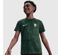 Chelsea Football T-Shirt Youth Dark Green