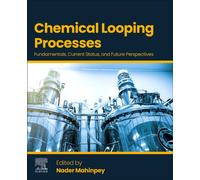 Chemical Looping Processes: Fundamentals, Current Status, and Future Perspectives