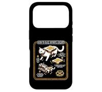 Chemist Chemical Engineering Infinite Energy Rotation Cat Case for iPhone 17 Pro