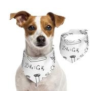 Chemistry Print Print Pet Scarf Soft Comfortable Holiday Accessory For Christmas Warm Stylish Present