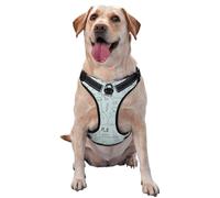 Chemistry Print Printed,Pet Harness,Adjustable Reflective Dog Harness,Pet Leash Vest,L