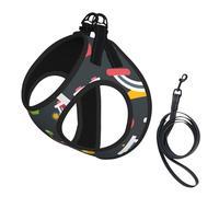 Chemistry Science,Pet Harness,Adjustable Reflective Dog Harness,Pet Leash Vest,S