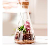 Chemistry Terrarium Kit