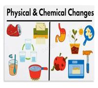 Chemistry vs Physics Poster for Homework Station and Student Learning Wall