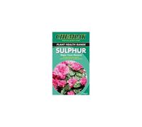 Chempak® Sulphur Chips for Ericaceous Plants - Soil pH Adjuster for Azaleas, Rhododendrons, Blueberries - Trace Element Deficiency Remedy - 2x 750g by Thompson & Morgan