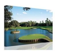 chenchenArt USA Golf Course Wall Art TPC Sawgrass Golf Course Pictures Canvas Prints Golf Wall Decor for Living Room Bedroom Bathroom Home Decorations Framed Ready to Hang(12''H x 18''W)