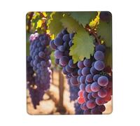 chenfandi Desert Grapesmouse Pad, Computer Mouse Pad With Non-Slip Rubber Base For Office,#Gaming, Learning, 7.9 X 9.5 In.