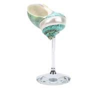 ChengChengJin Conch Shell Wine Glass, Handmade Polished Seashell Unique Artwork Cup, for Wedding Party Bar Decor (Green)