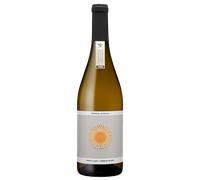 Chenin Blanc Old Vine 2025 - Sophie Schaal