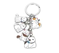 CHENJIRA Hetali AxisPowers Keychain Cute Figure Cosplay Chain Jewellery - Metal, Multicolore, 5 in 1