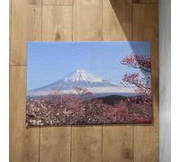 Chenlane Door Mat Outside Entrance Funny Mats For Front Indoor Clearance Sakura Japanese Style Doormats Inside Washable Outdoor 50x80cm