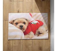 Chenlane Outdoor Mats For Front Small Bathroom Floor Non Slip Christmas Dog Doormats Outside Plain Foot Indoor 50x80cm