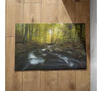 Chenlane Thin Bath Mat Under Door Runner Woods Natural Landscape Mats Outdoor Bathroom For Inside Shower 50x80cm
