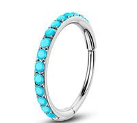 chenle G23 Titanium Nose Hoop & Earrings - Turquoise Hinged Segment Ring for Septum, Lip, Conch, Helix, Tragus - 16G, 8MM & 10MM, 8 mm, Cubic Zirconia, no gemstone
