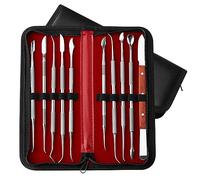 CHENTON Stainless Steel Wax Carvers Set Double Ended Wax Carver with Storage Case 10pcs Dental Waxing Tool Kit