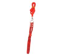 Chenxi Studio Adjustable Small Animal Harness and Leash with Soft Padding for Comfortable Walks Training and Outdoor Adventures Harness Leash