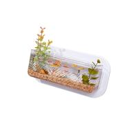 Chenxi Studio Clear Plastomer Wall Fish Bowl Hydroponic Rack Aquariums Fish Tanks Living Room Decoration Clear Wall Hydroponic Vases