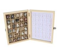 Chenxi Studio Geology Classroom Teaching Aid Mineral Rock in Wooden Display Case Student Educational Science Study Tool Set STEM Toy for Classroom Learning