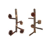 Chenxi Studio Parrot Stand Perches For Parakeets Easy Assembly Screw Standing Climbing Tree Branch Small Bird Grinding Accessory 2PCS
