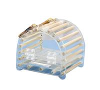 Chenxi Studio Parrot Travel Cage Transparent Bird Acrylic Carry Cage For Parrot Lovebirds Portable Nest With Ladder & Tray For Outdoor