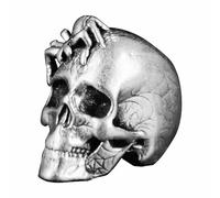 Chenxi Studio Skull Spiders Swords Pendant Ideal For Paracord And Necklaces Craft Projects Paracord Bead Cultural Spiders Skull Keychain Brass Pendant