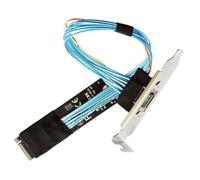 chenyang Oculink SFF-8612 to PCI-E 4.0 NVME M.2 M-Key Host Extension Cable Adapter with 8/12cm Slot Bracket for External Graphics Card & SSD