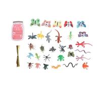 CHEOTIME 30 Set Love Critter Card Model Magnifying Glasses, Different Butterfly Toy Funny Greeting Valentine Exchange Cards Gift for Boys Girls School Class Classroom Prize Party Favors (Style D)