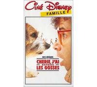 Chérie j'ai rétréci les gosses (Honey, I Shrunk the Kids) [VHS]