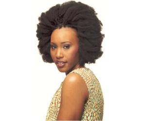 Cherish Synthetic Afro Kinky Bulk 24 / 99J