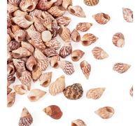 Cheriswelry 100Pcs Natural Spiral Seashells 16.5x10x9mm Small Sea Shell Beads Spiral Ocean Shells for DIY Crafts Vase Fillers Home Decor Jewelry Making