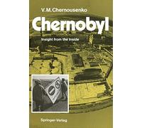 Chernobyl: Insight from the Inside