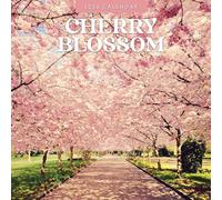 Cherry Blossom - 2026 Square Wall Calendar - by Red Robin Publishing