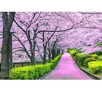 Cherry Blossom Bliss Tokyo Japan Puzzle | 1000 Piece Jigsaw Puzzle