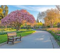 Cherry Blossom Puzzle 1500 Pieces, Paper Puzzles, Puzzle for Adults and Children 12 Years, DIY Large Puzzle Mats, Premium Quality Classic Paper Jigsaw, as a Gift Girls Landscape 57x87cm