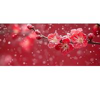 Cherry Blossoms Diamond Painting Kits for Adults, Pattern Winter Diamond Art 5D DIY Full Round Drill Gem Crystal Art Kits Crafts for Adults for Home Room Decor, Bedroom Decor 100x300 cm -yym2603M0