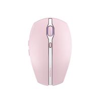 Cherry Gentix BT Mse Cherry Blossom