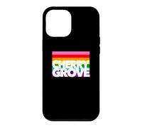 Cherry Grove Fire Island Long Isle NY New York Beach Sun Case for iPhone 12 Pro Max