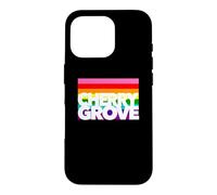 Cherry Grove Fire Island Long Isle NY New York Beach Sun Case for iPhone 16 Pro
