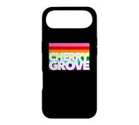 Cherry Grove Fire Island Long Isle NY New York Beach Sun Case for iPhone Air