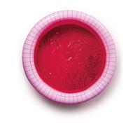 Cherry Inflatable Pool Multicoloured M