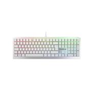 CHERRY MV3.0 RGB keyboard Gaming USB QWERTZ German Silver, White