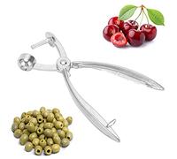 Cherry Pitter, 4PCS Cherry Pitter or Stoner,Aluminum Alloy Hand Cherry Stone Remover Cherry Destoner Olive Pitter Remover Olive Red Dates Pitting Device Cherry Corer Removing Hand Tool