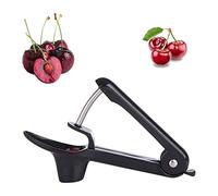 Cherry Pitter and Olive Stoner Tool with Stainless Steel Rod for Dates