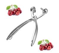 Cherry Pitter or Stoner,Aluminum Alloy Hand Cherry Stone Remover Cherry Destoner Olive Pitter Remover Olive Red Dates Pitting Device Cherry Corer Removing Hand Tool